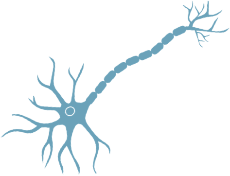 ALS motor neuron